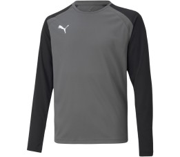 Bluza bramkarska dla dzieci Puma teamPACER GK LS Jersey szara 704939 43